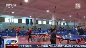 BB贝博艾弗森官网 乒乓球台修复材料是什么